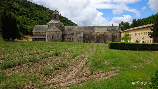 Sénanque Abbey