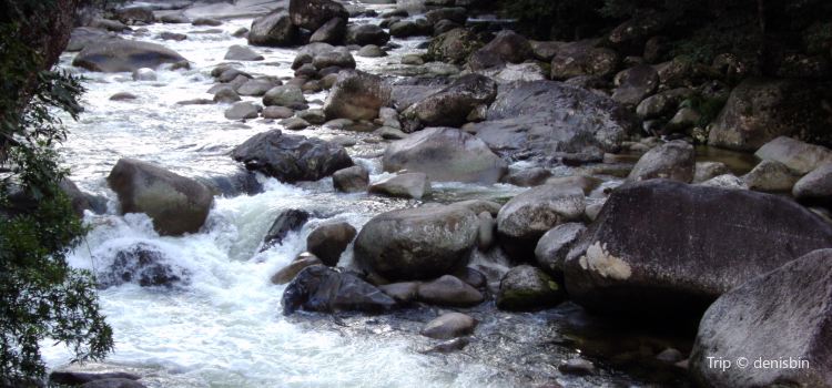 Sugar Mountain Resort Travel Guidebook Must Visit Attractions In