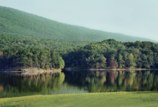 Allegany State Park景点图片