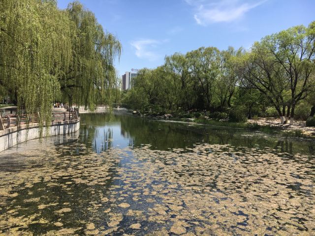 满都海公园旅行图片 3