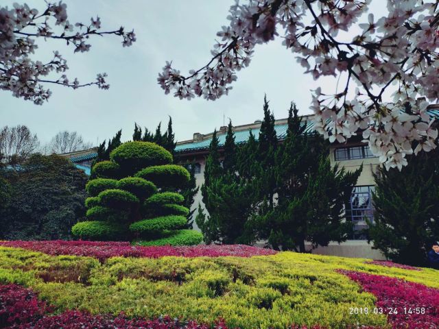 武汉大学信息学部-竹园旅行图片 9