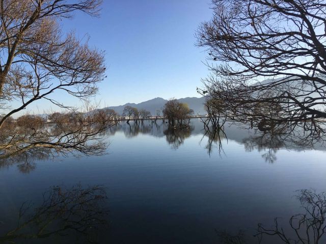 黄龙潭公园旅行图片 1
