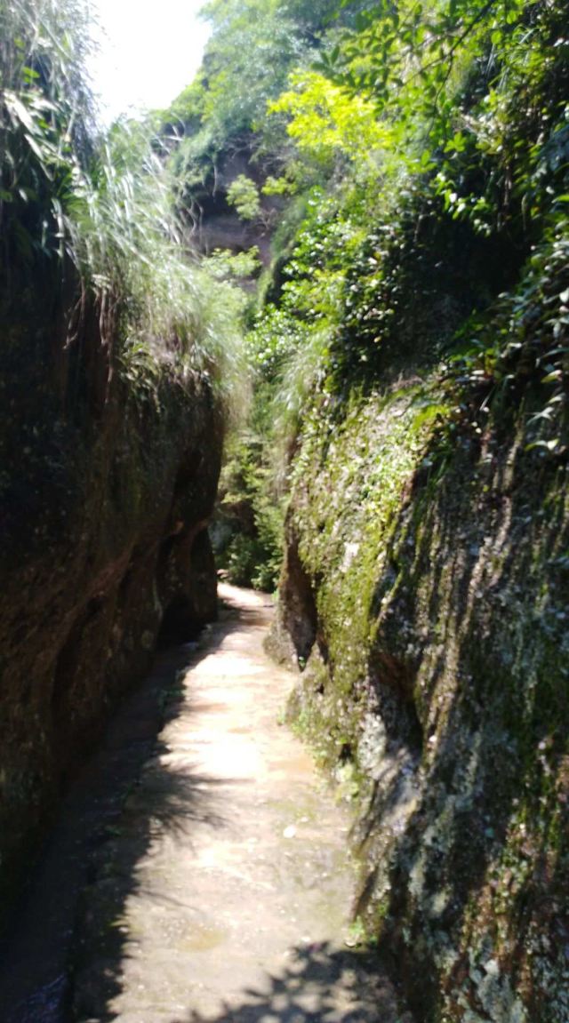 青龙岩风景区旅行图片 4