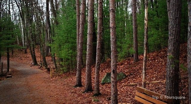 Livingston Park Tickets Deals Reviews Family Holidays - 