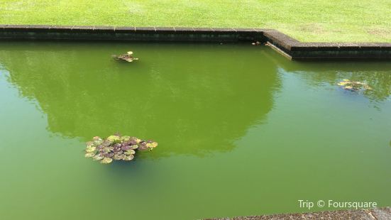 Kalakaua Park