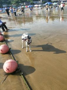 渔寮风景区-苍南-YoYo_6K7X1P8Z