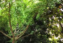 澎湖开拓馆景点图片