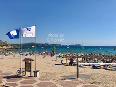 马略卡岛游记图片] 蓝旗海滩 | 岛民为你pick出马略卡岛的优质海滩等你去浪！