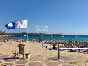 马略卡岛游记图文-蓝旗海滩 | 岛民为你pick出马略卡岛的优质海滩等你去浪！