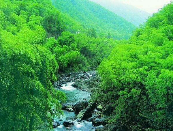 安吉中国大竹海景区游玩攻略简介,安吉中国大竹海景区门票/地址/图片/开放时间/照片/门票价格【携程攻略】