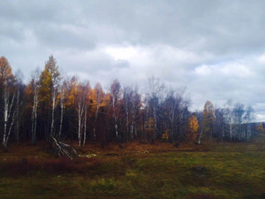 伊尔库茨克区游记图文-逐梦——贝加尔湖的秋天