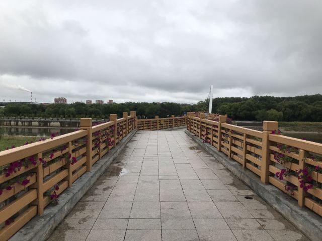 黑河市大岛植物园旅行图片 2