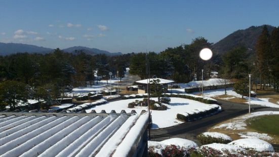 野洲市 銅鐸博物館 野洲市歴史民俗博物館 評判 案内 トリップ