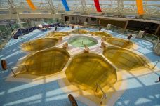 溱湖国家湿地公园-泰州-242278435