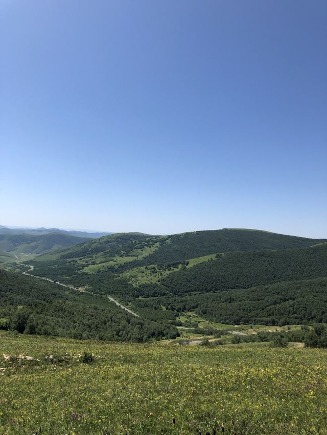 黄岗梁国家森林公园旅行图片 1
