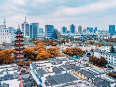 全方位游宁波，经典风光美食4日游