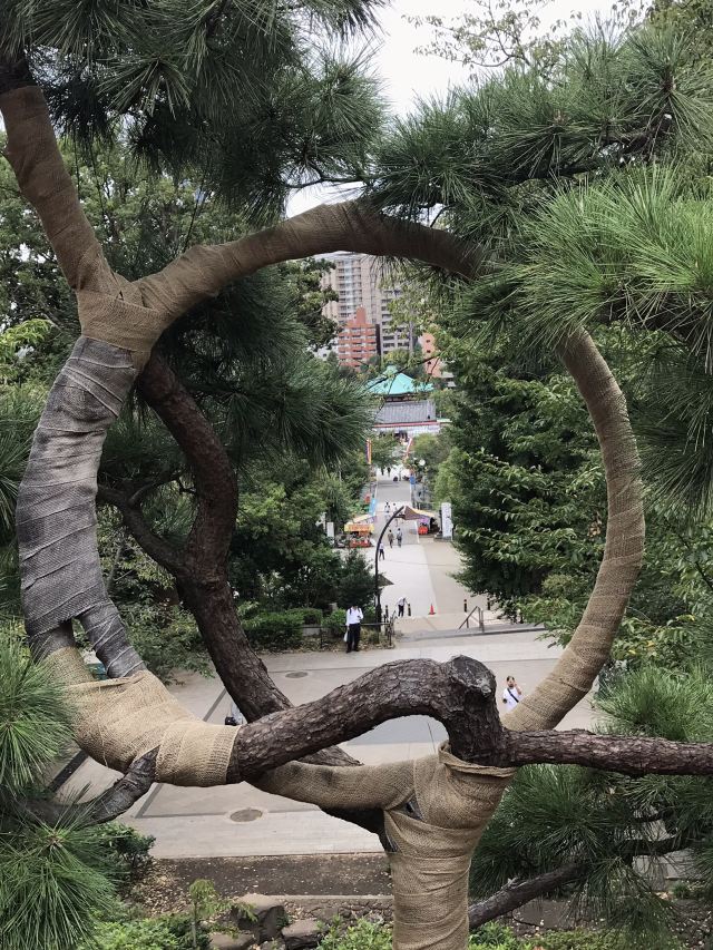 Ueno Park