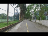 普者黑天鹅湖-观景台
