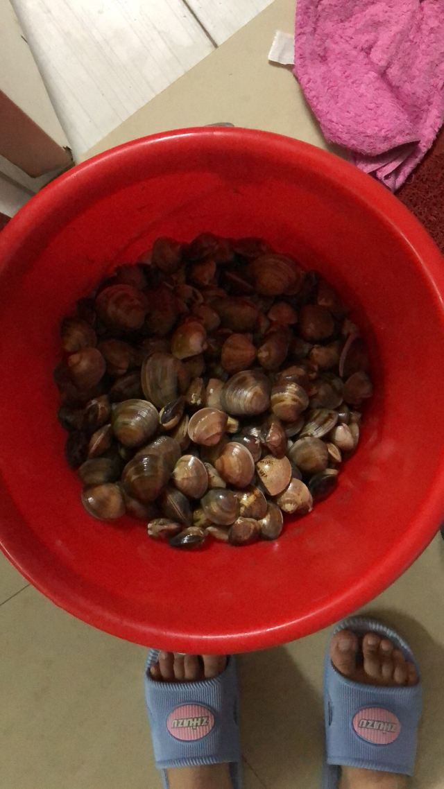 赶海一号旅行图片 4