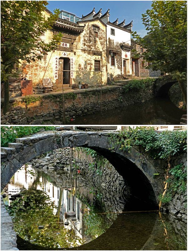 芹川村
