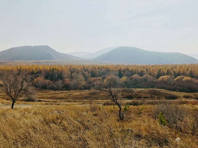 黄岗梁国家森林公园旅行图片 1