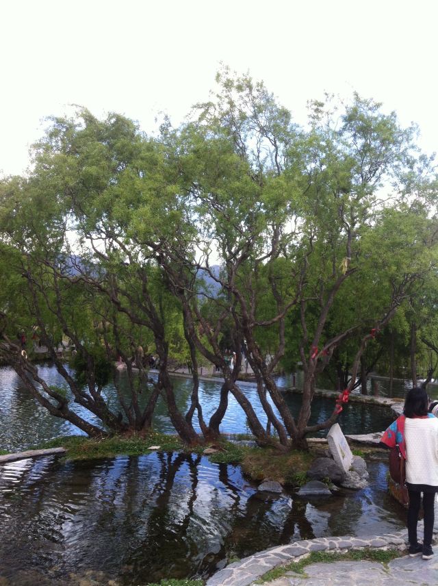 丽江玉水寨风景区旅行图片 3