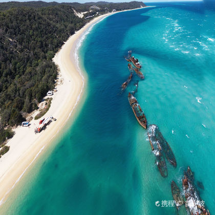 澳大利亚布里斯班+摩顿岛+黄金海岸海洋世界四日游