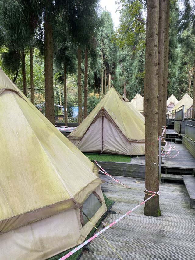 川西红枫岭旅行图片 3