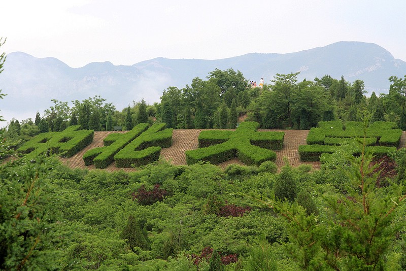 二龙山