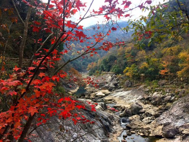 马鬃岭景区旅行图片 2