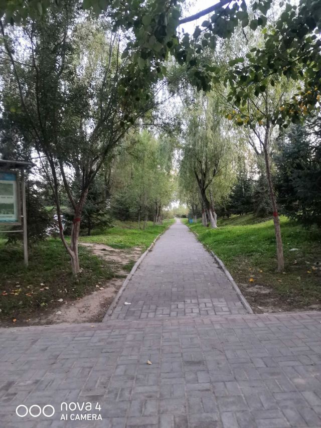 青海大学-党员活动公园旅行图片 5