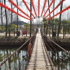 滨湖国家森林公园-合肥-CNG一