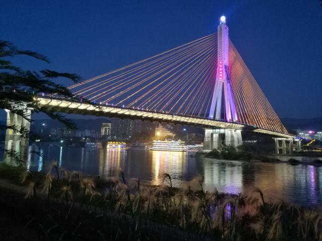 西双版纳滨江公园旅行图片 5