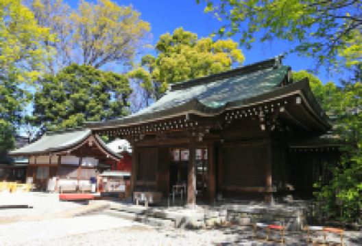 冰川神社景点图片