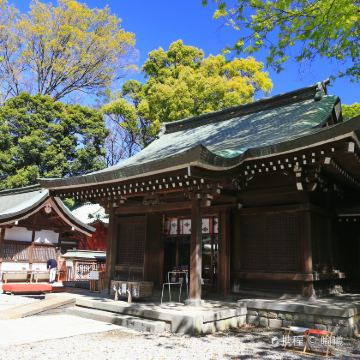 日本东京-川越包车一日游【中文司机-行程可定制】