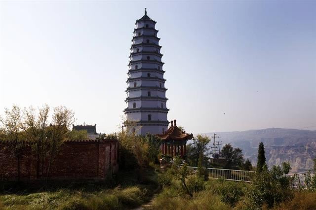 九龙山旅行图片 3