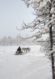 摩尔曼斯克游记图片] 零下33度追极光＋零下25度坐雪橇＋圣彼得堡＋莫斯科