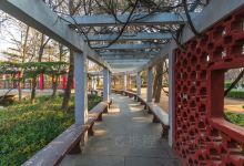 沧口公园景点图片
