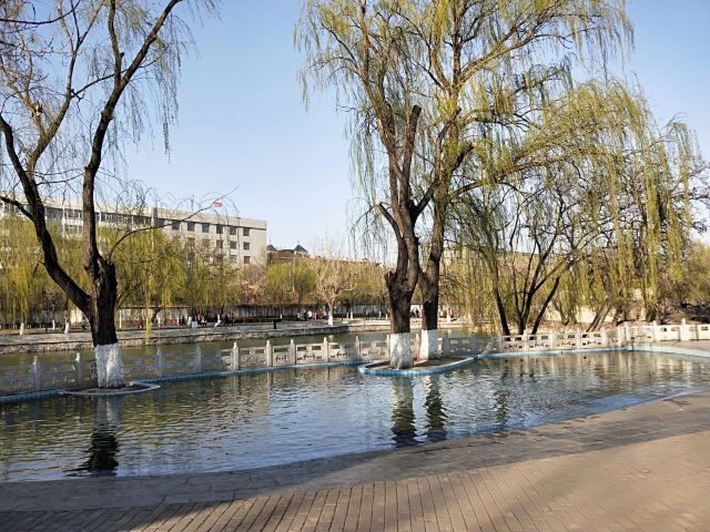 宣化人民公园旅行图片 2