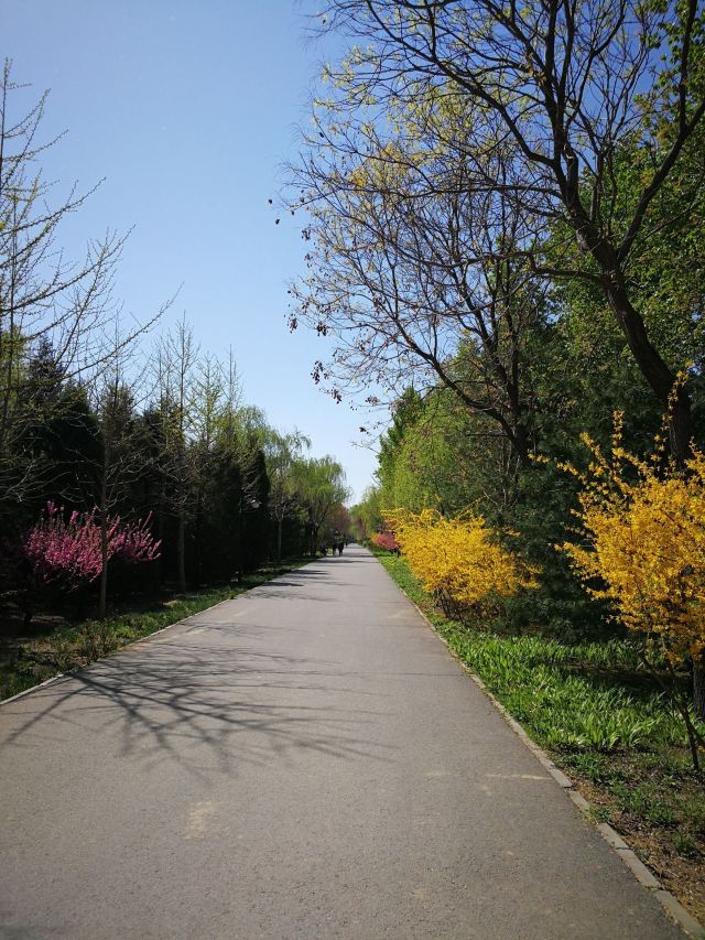 东坝公园旅行图片 2