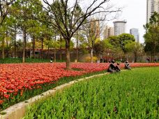 静安雕塑公园-上海-amydog