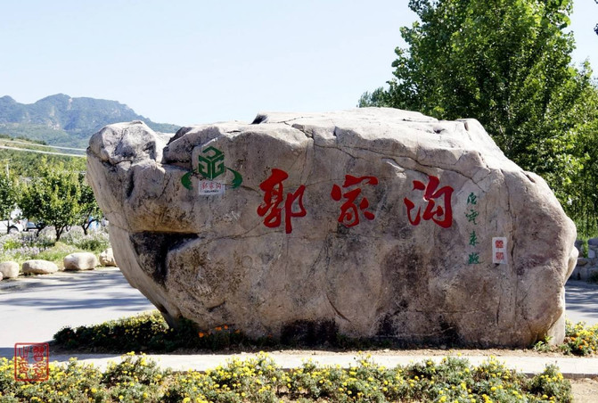 聽說薊州郭家溝意忠園民宿附近藏著兩顆古樹之王，需兩人合抱才行。