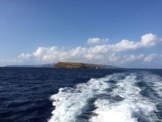 拉海纳-Florafifle