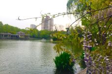 杨浦公园-上海-jack的旅行故事