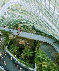 云雾林-新加坡-YoYo_6I0M9Y9H