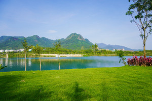 增城区游记图文-住进森林海温泉酒店，开启春日的度假时光