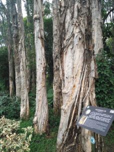 天鹿湖森林公园-广州-齐哗哗啊