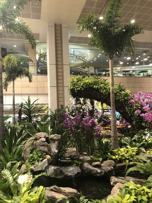 马尔代夫—LUX*北丽世岛浪漫之旅