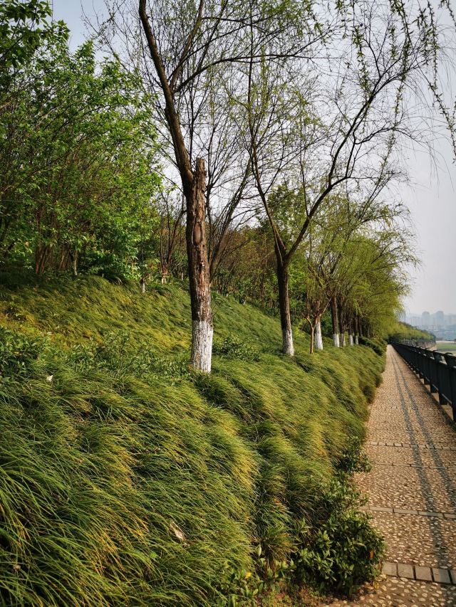 巴滨路湿地公园