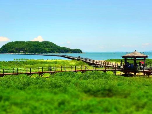 海陵岛红树林国家湿地公园